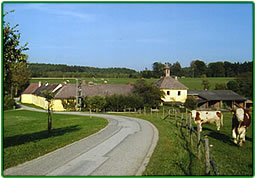 Der Stanghof